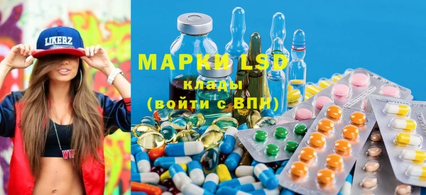 прущие грибы Зеленокумск